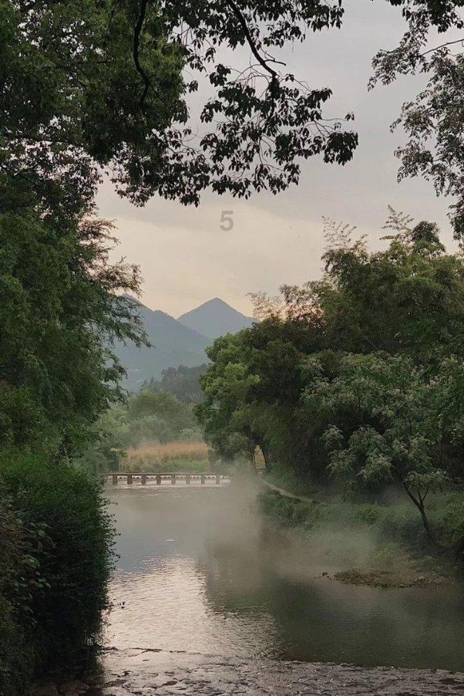 五彩猫碰碰碰